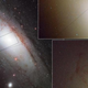 Illustration for article titled Ultra-rare blue stars are unlike anything else weve seen before
